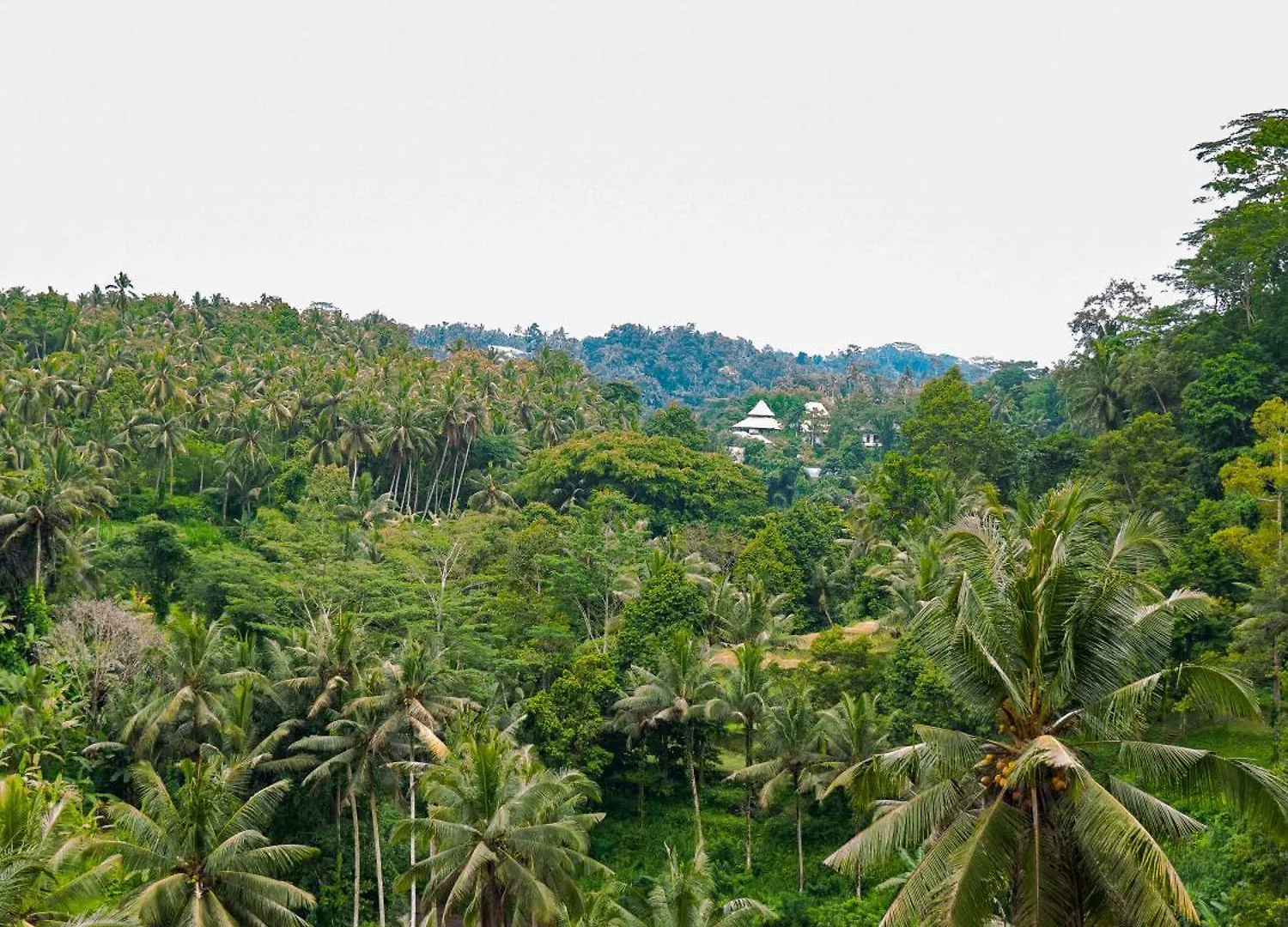 Heaven View 2 Bedroom Ubud Sayan 0*, Ubud (Bali)